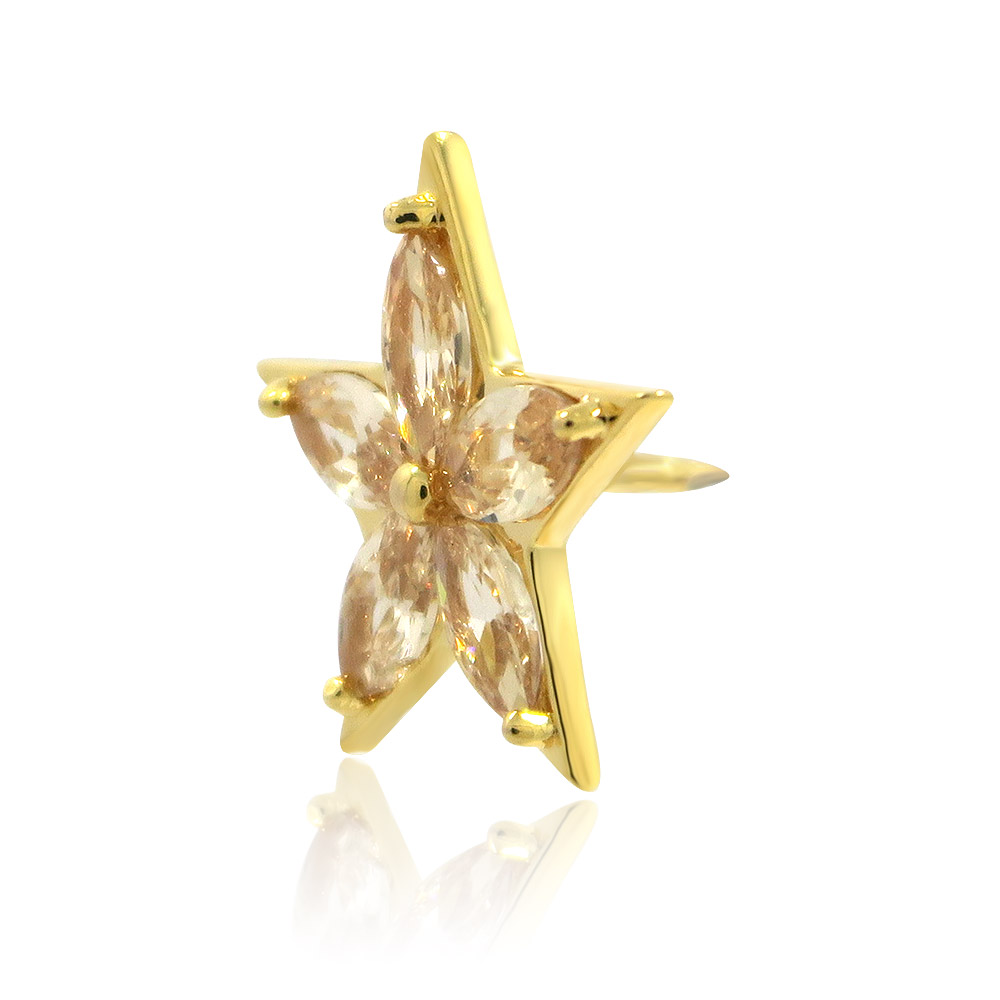 A detailed view of the Champ Star Pin's sparkling gemstones